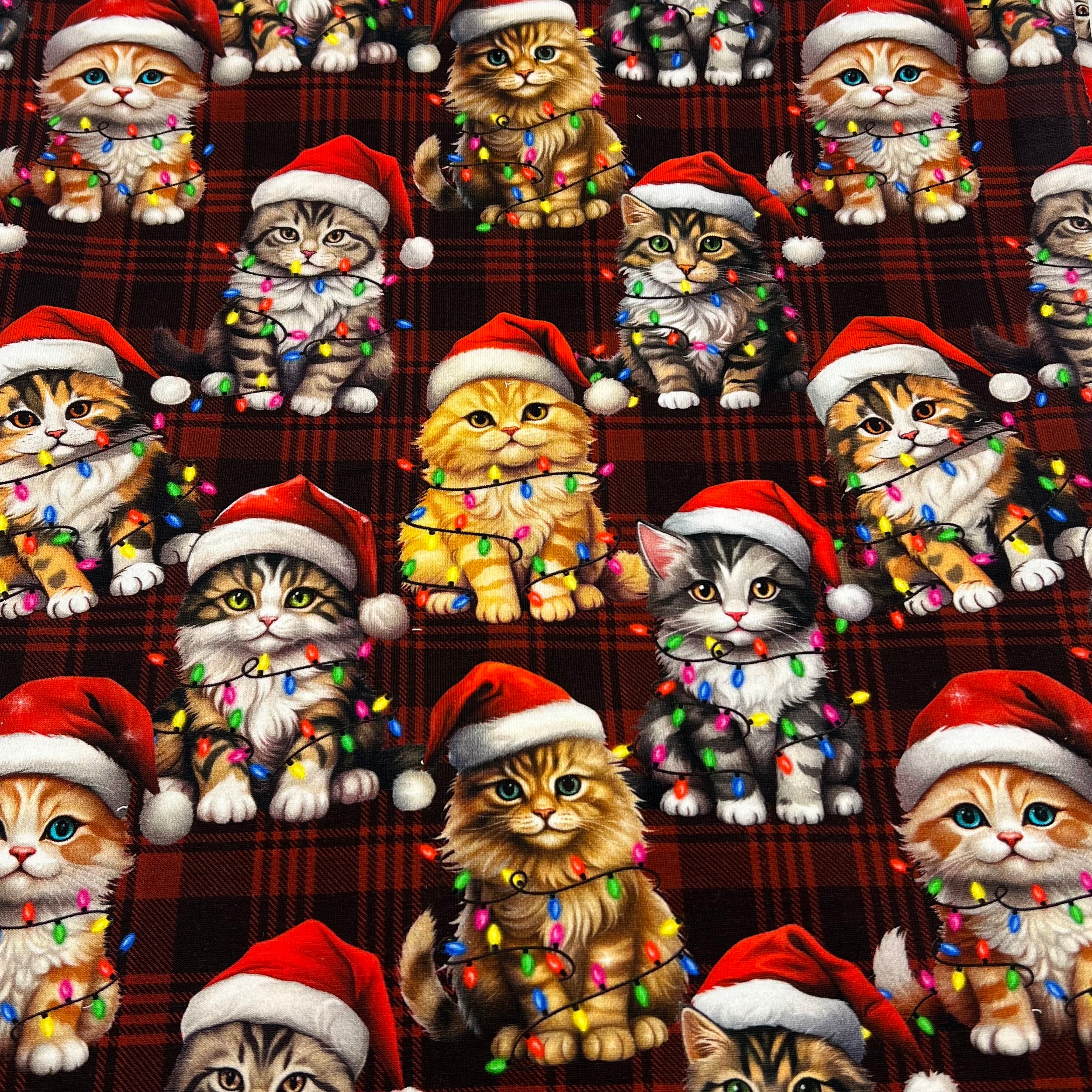 Festive Cats French Terry Loopback Cotton Jersey Lycra 4 Way Stretch